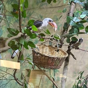 Meet your Posher, Kara